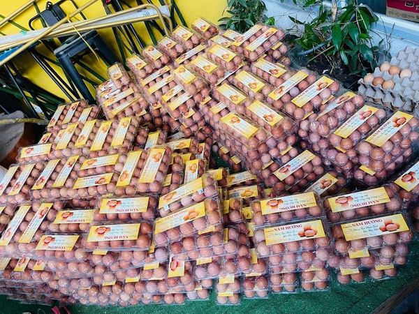 Trứng gà - Trại Gà Năm Hưởng - Công Ty Trách Nhiệm Hữu Hạn Chăn Nuôi Gia Cầm Năm Hưởng